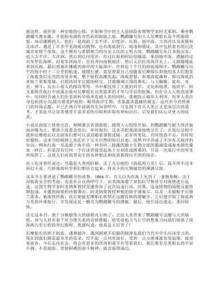 《海底两万里》读后感900字