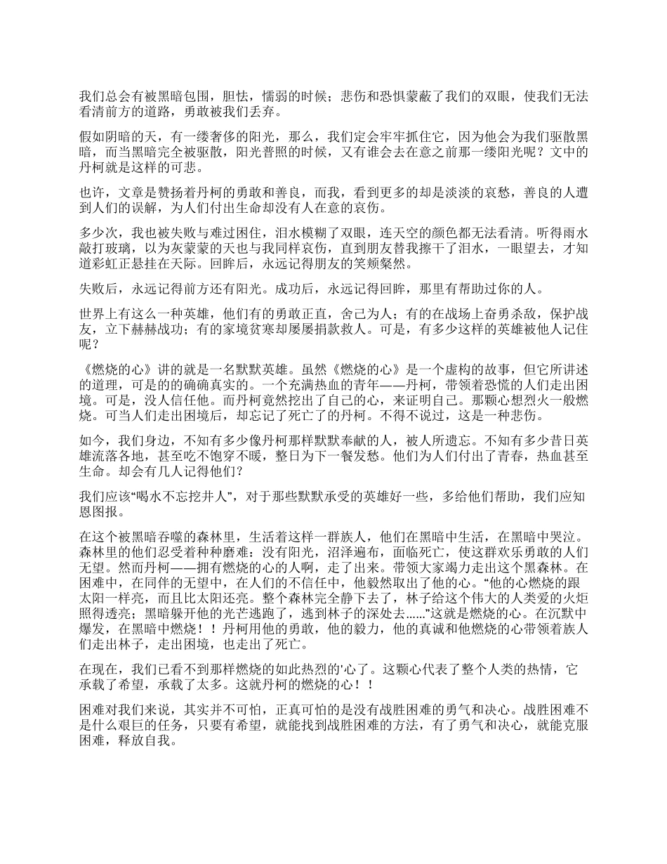 《燃烧的心》读后感_第1页