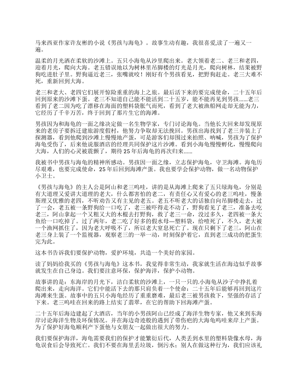 《男孩与海龟》读后感_第1页
