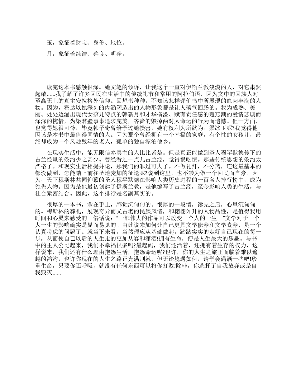 《穆斯林的葬礼》读后感_第1页