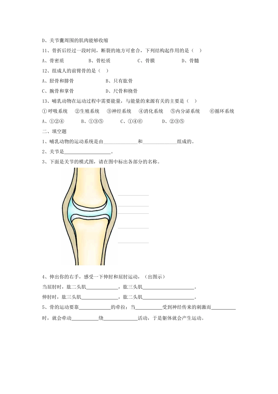 《第1节-人体的运动》同步练习2_第2页