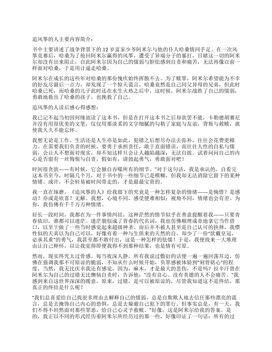 《追风筝的人》的读后感_第1页