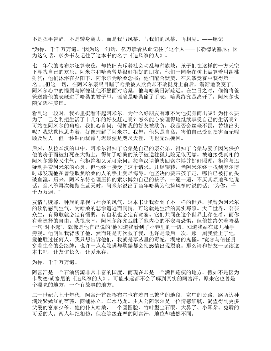 《追风筝的人》读后感_第1页