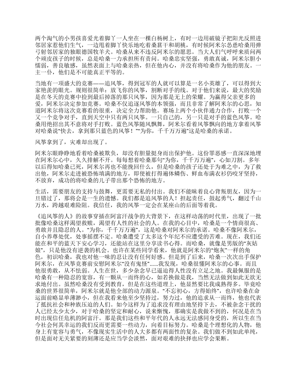 《追风筝的人》读后感_第2页