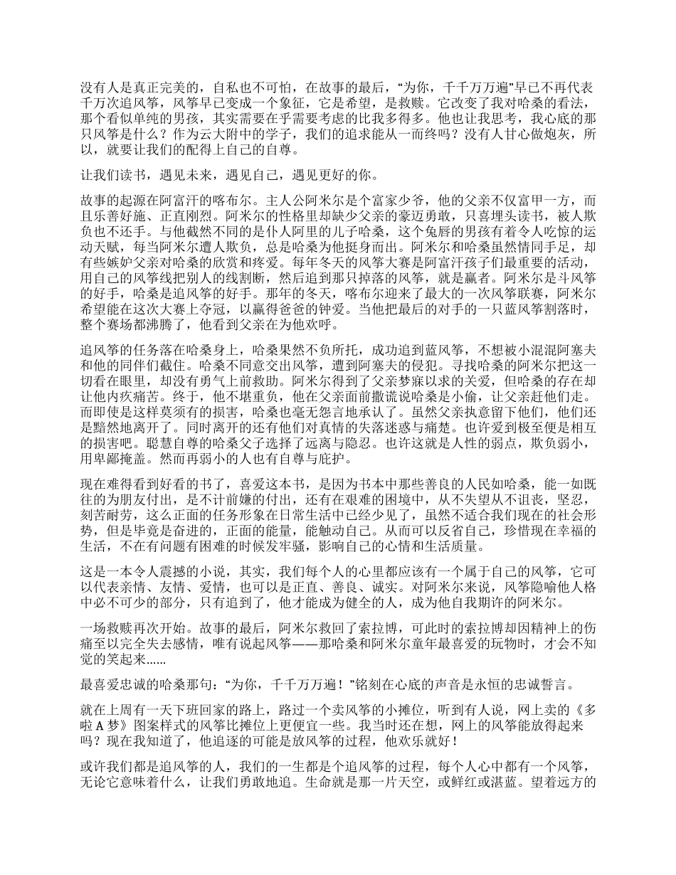 《追风筝的人》读后感_第3页