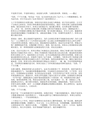 《追风筝的人》读后感