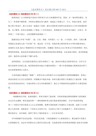 《追风筝的人》读后感文档900字2024