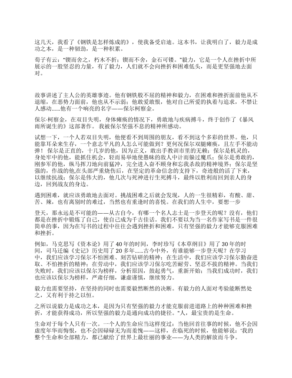 《钢铁是怎样炼成的》1000字读后感_第1页