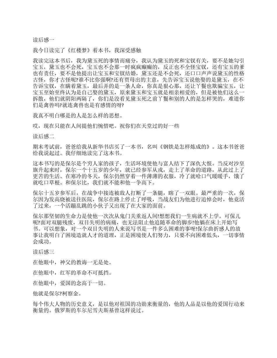 《钢铁是怎样炼成的》读后感6篇精彩作文_第1页