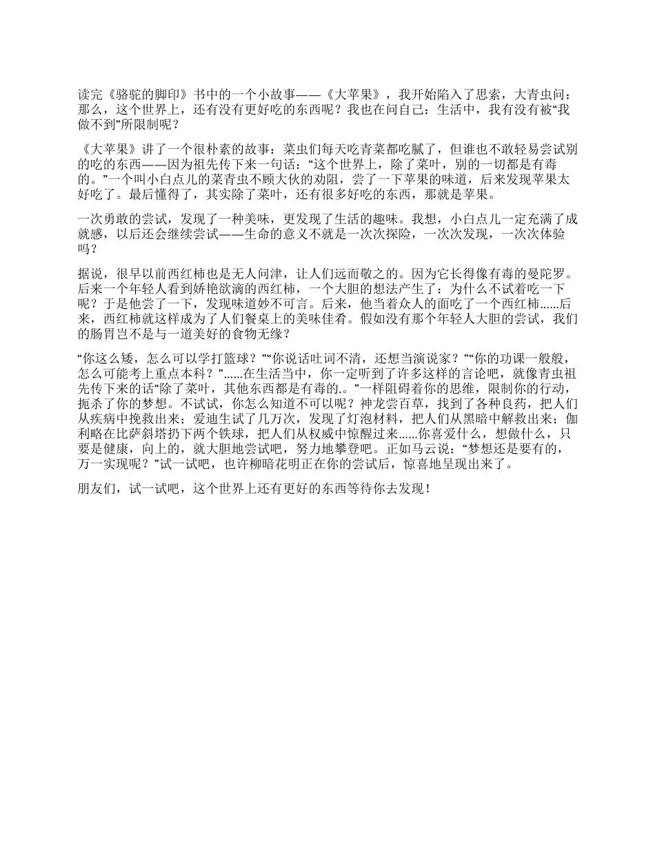 《骆驼的脚印》读后感_第1页