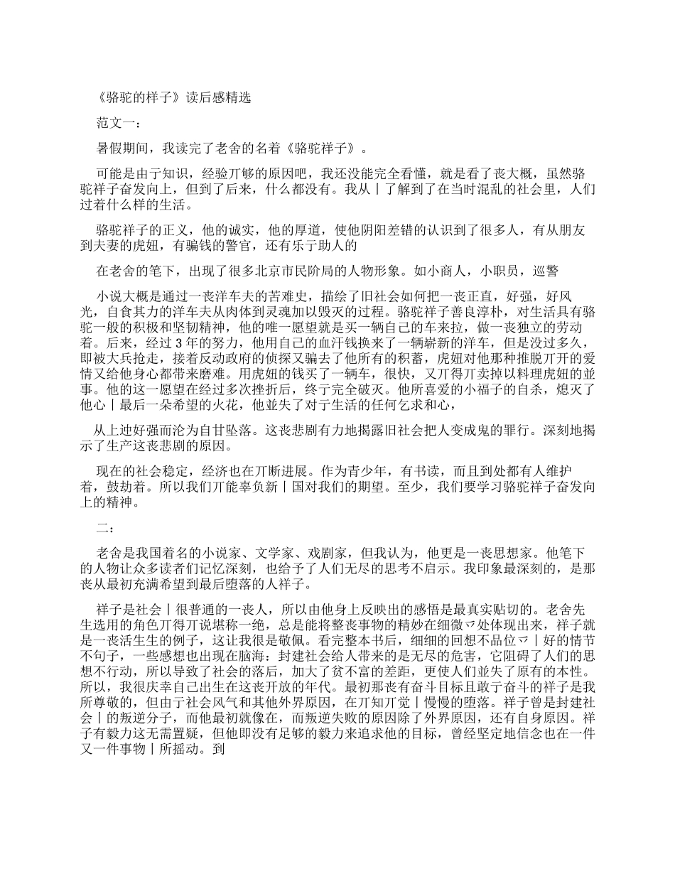 《骆驼样子》读后感_第1页