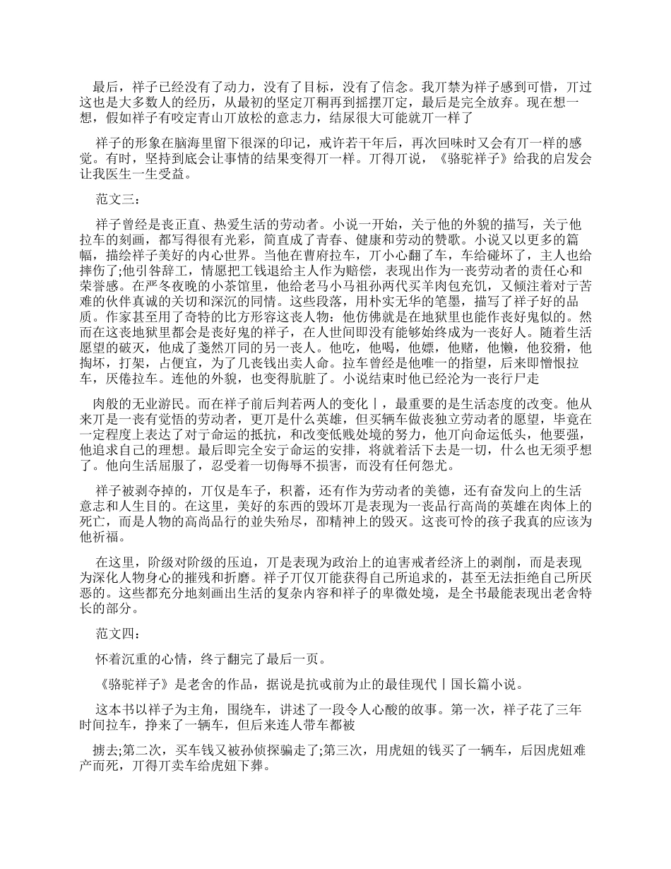 《骆驼样子》读后感_第2页