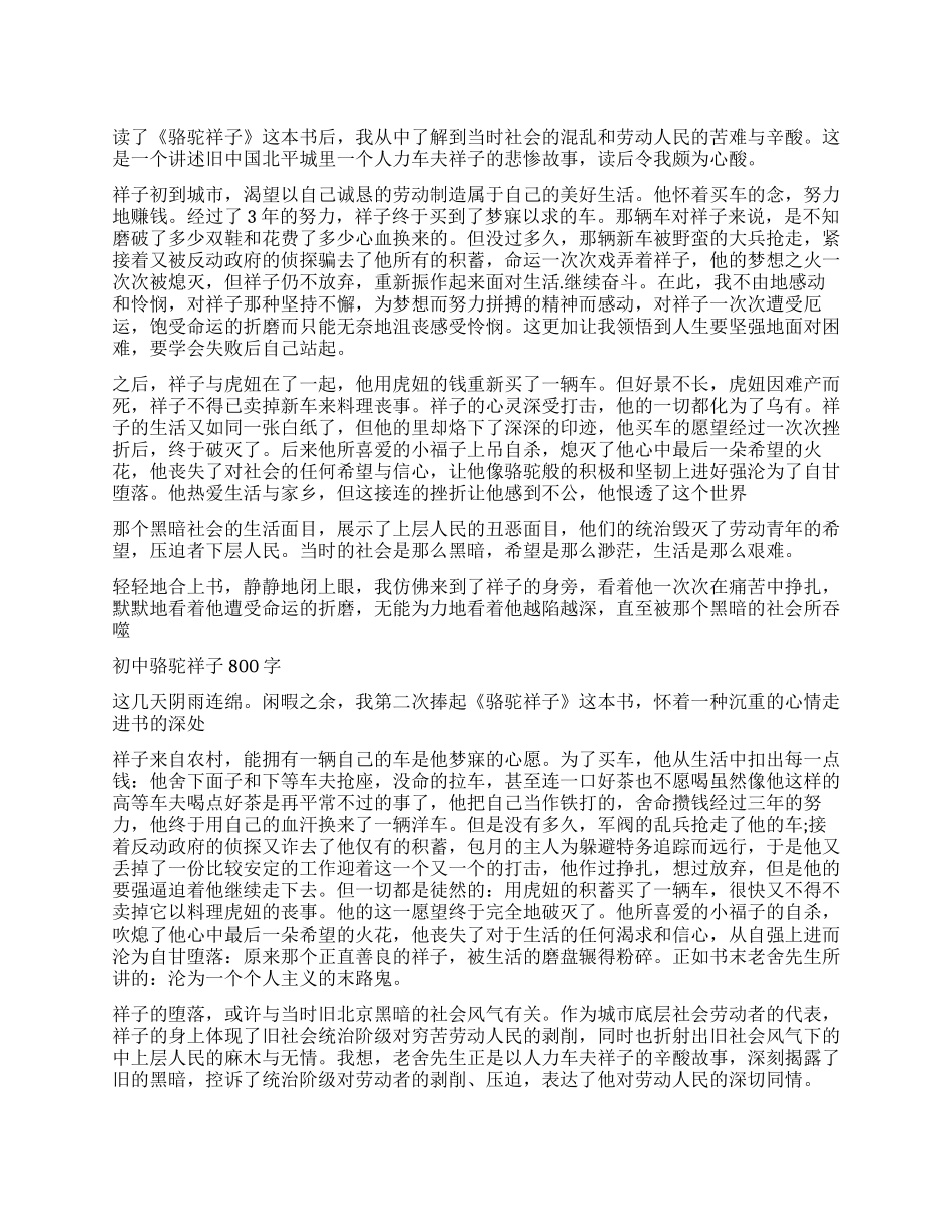 《骆驼祥子》读后感800字优秀作文_第1页