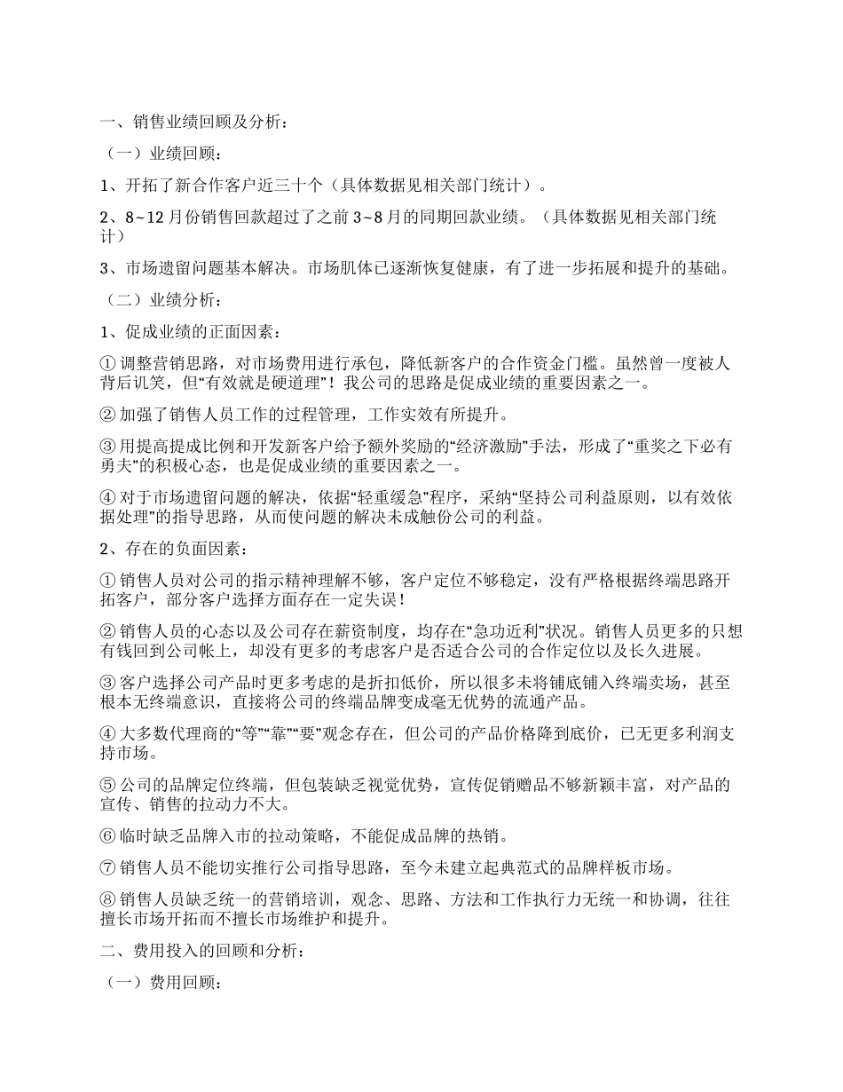 一位销售总监的年度工作总结_第1页