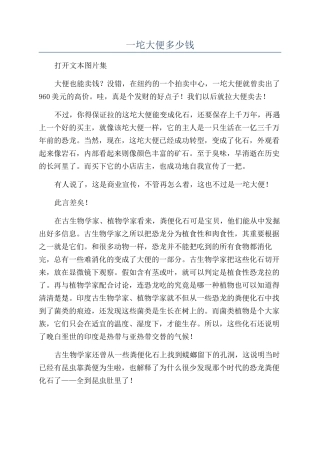 一坨大便多少钱