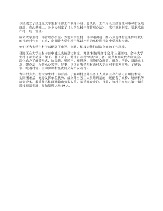 一村一大工作总结