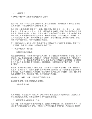 一村一大调研报告