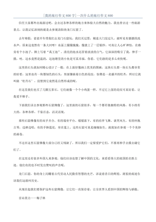 一次什么的旅行作文800