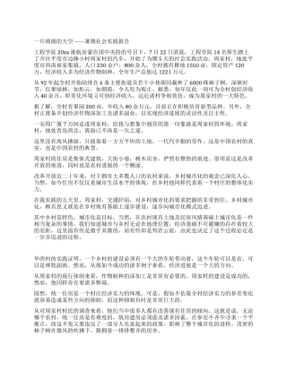 一片晴朗的天空------暑期社会实践报告