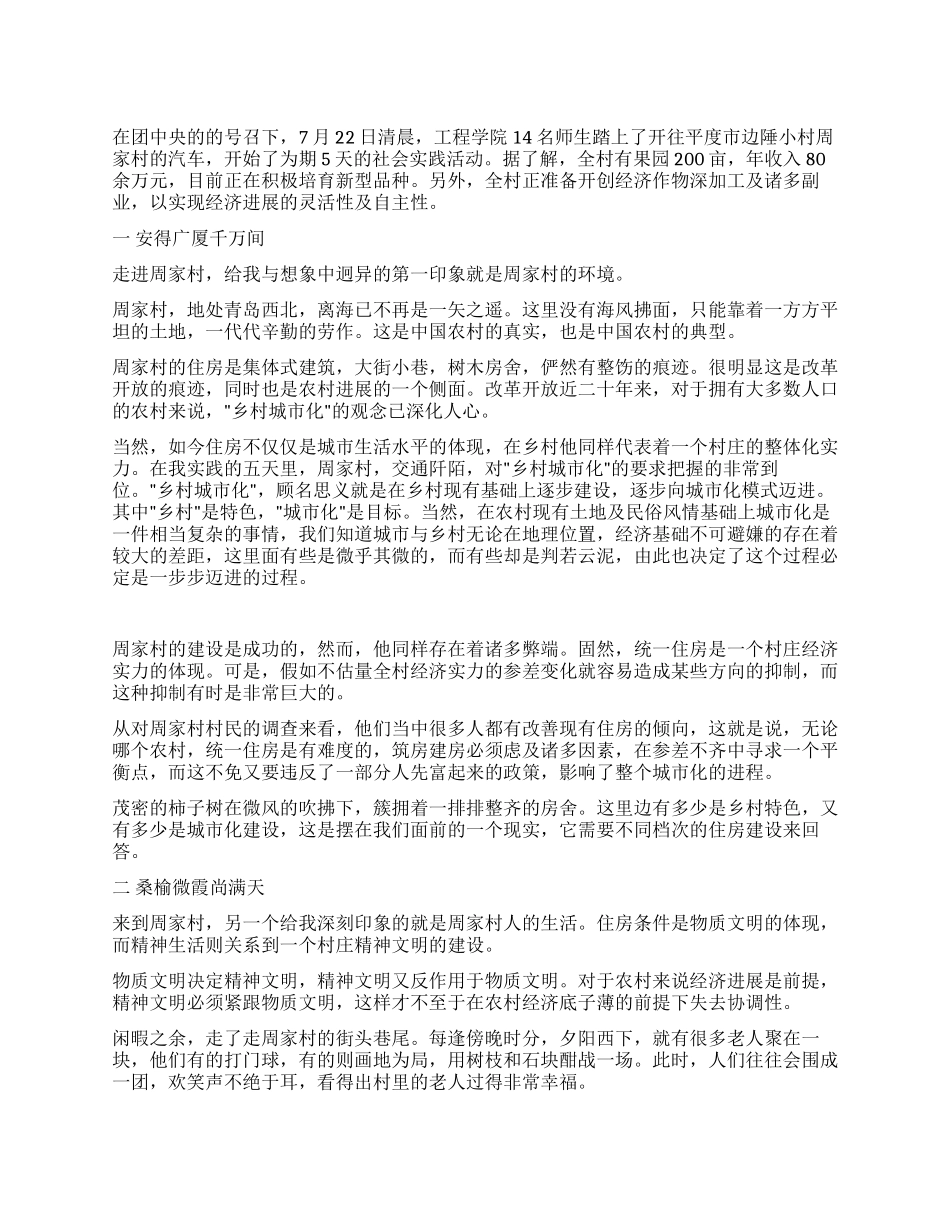 一片晴朗的天空暑期社会实践报告_第1页