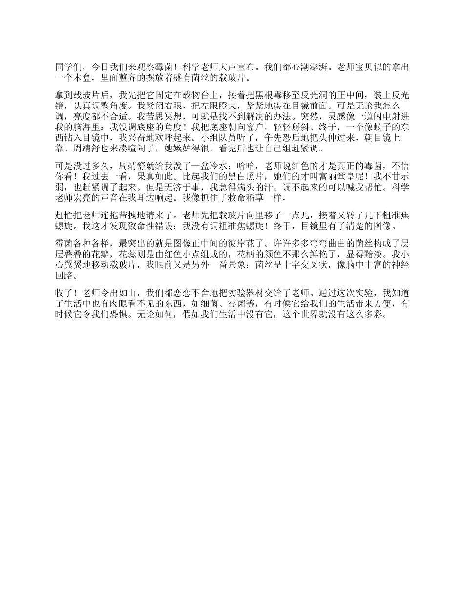 一节科学课作文800字_第1页