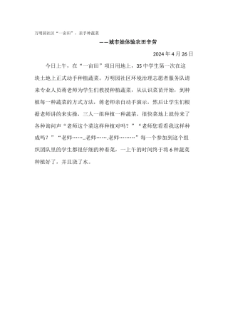万明园社区携手35中学生开展“一亩田”活动4月26日