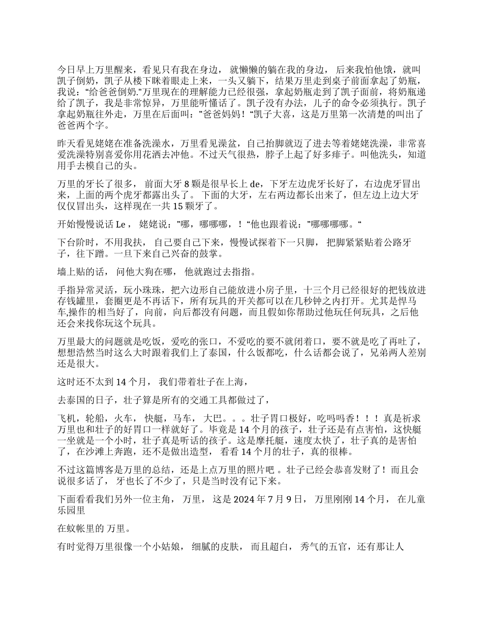 万里十四个月的工作总结_第1页