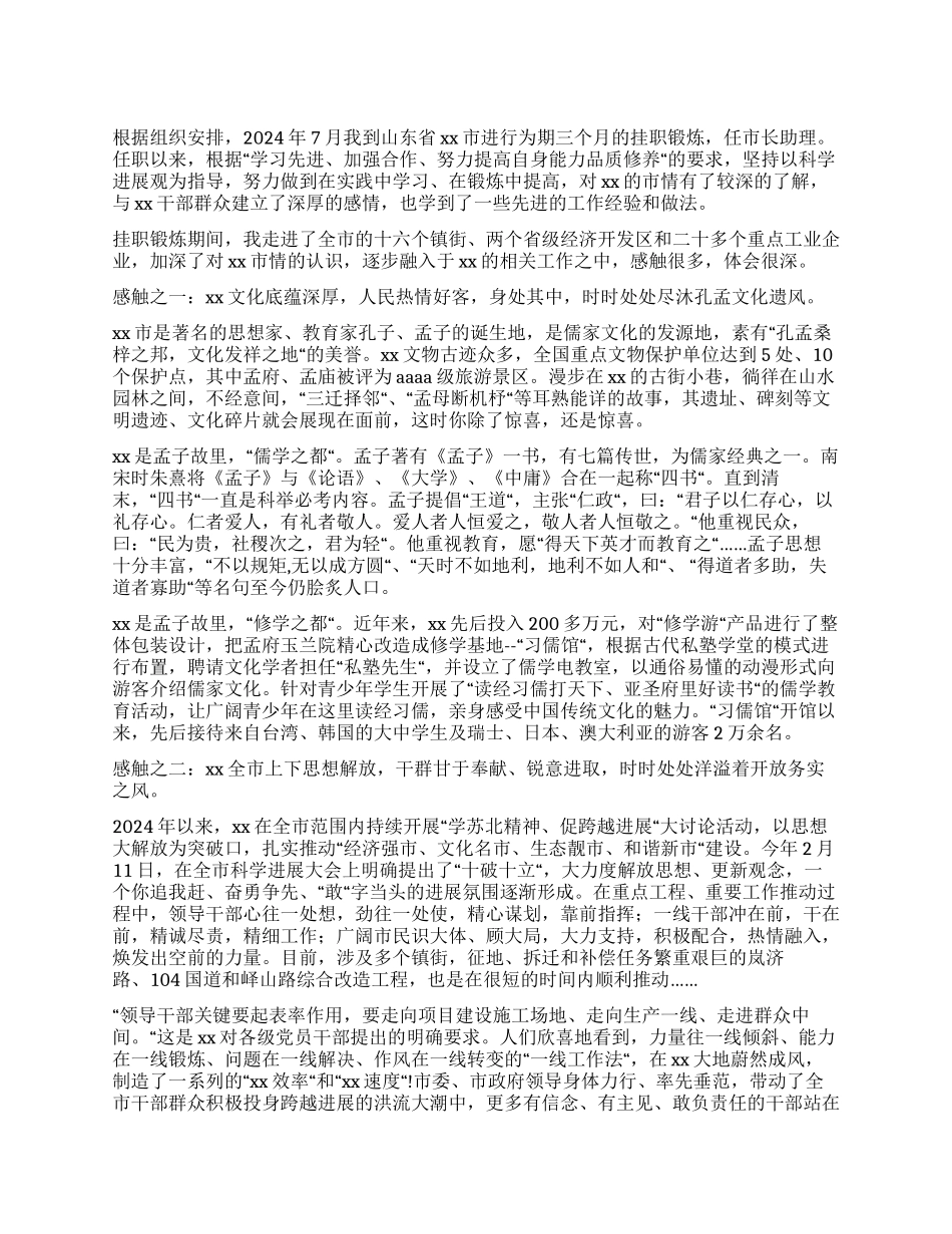 三个月挂职锻炼心得体会_第1页