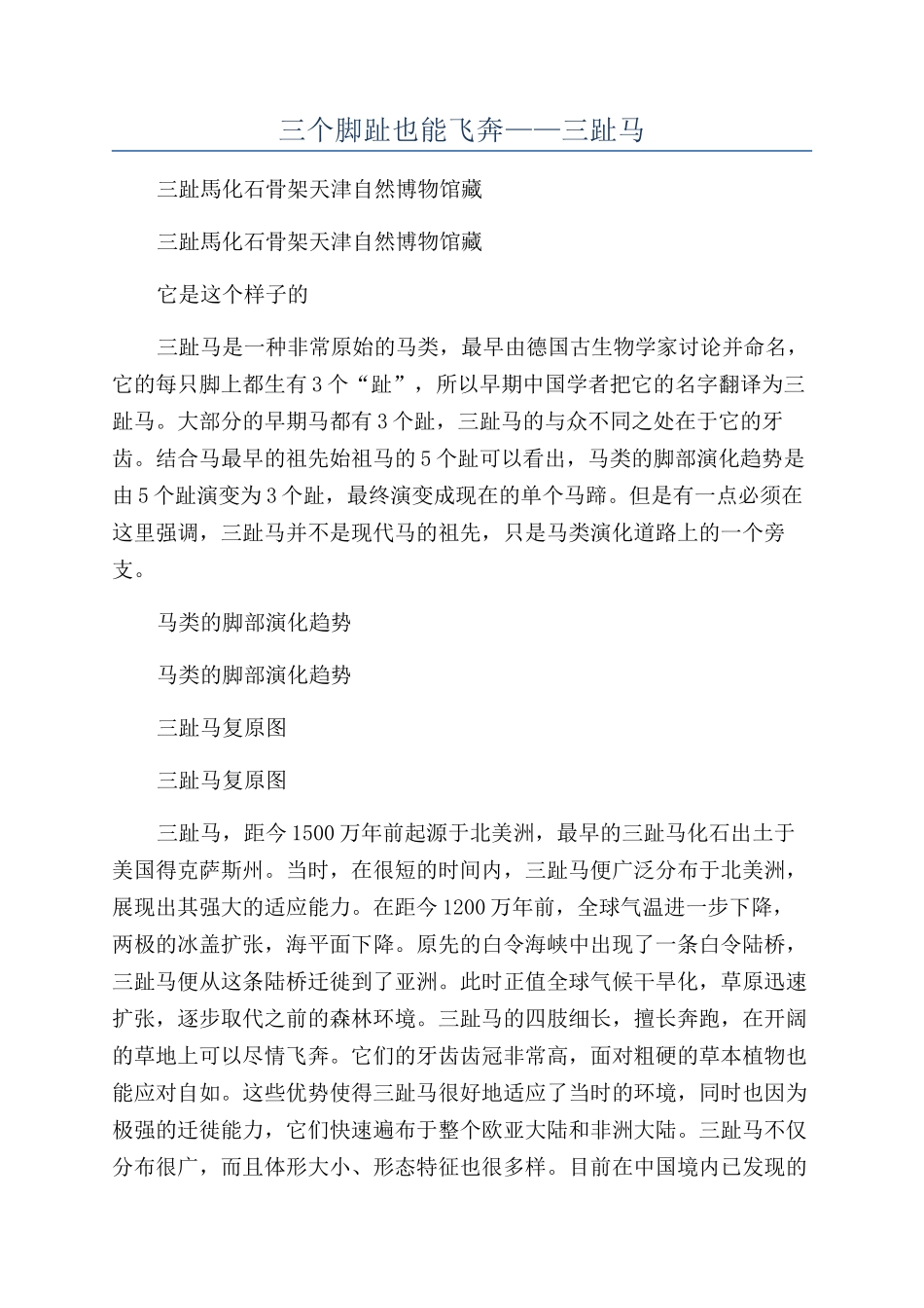 三个脚趾也能飞奔——三趾马_第1页