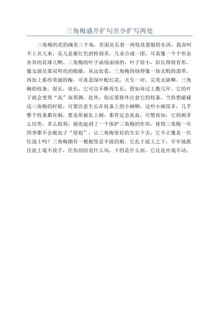 三角梅盛开扩句至少扩写两处