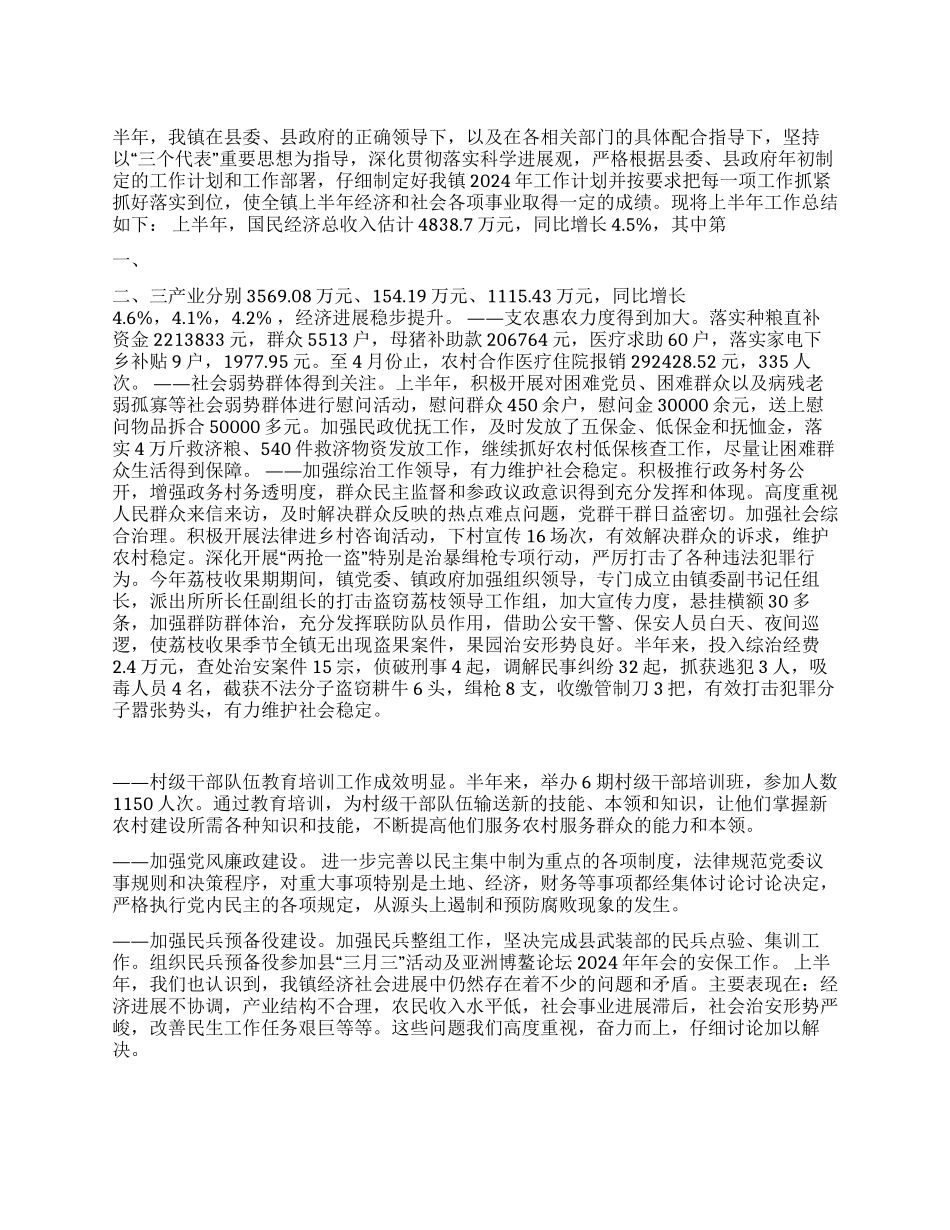 上半年党政办公室工作总结_第1页