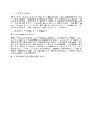 上半年审计工作总结