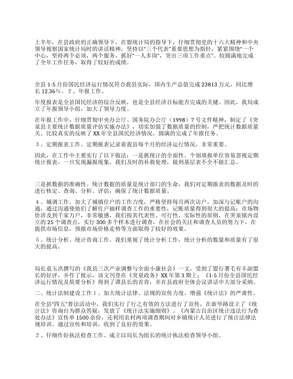 上半年工作总结(统计)_第1页