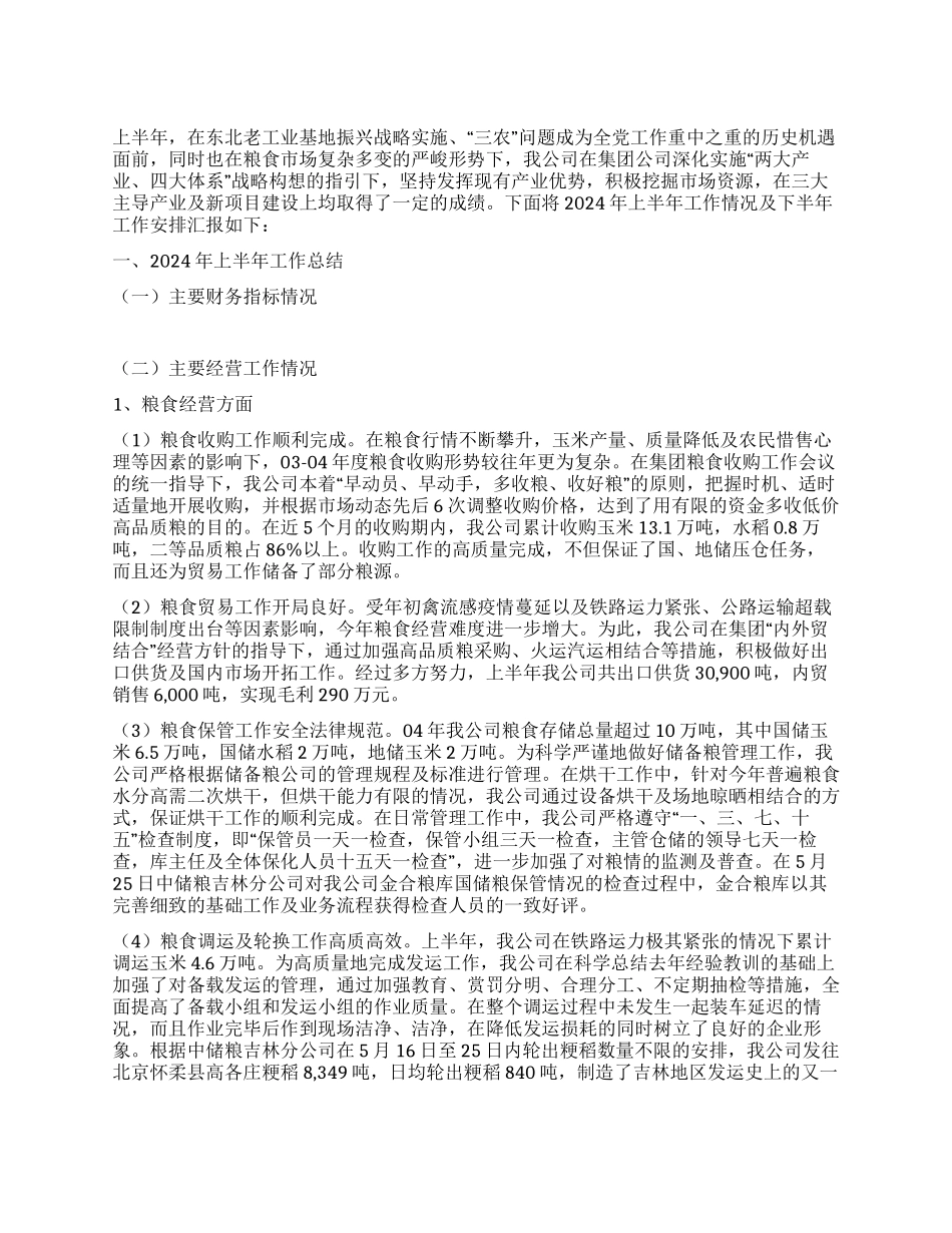 上半年工作总结及下半年工作安排_第1页