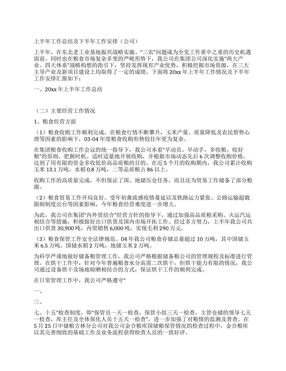 上半年工作总结及下半年工作安排(公司)_第1页