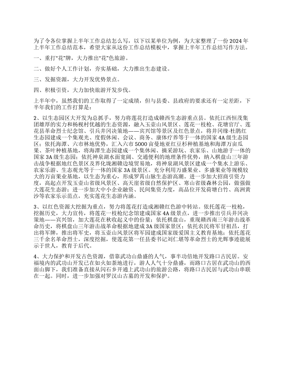 上半年工作总结格式_第1页