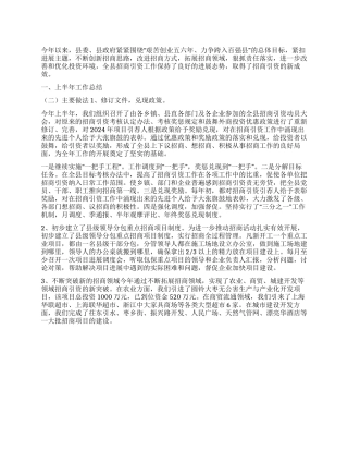 上半年招商引资工作总结和下半年工作计划