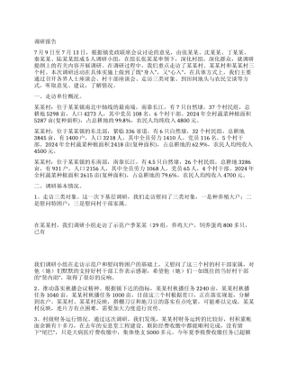 下基层调研报告