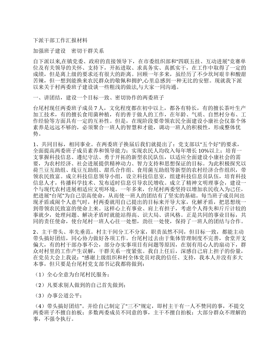 下派干部工作汇报材料_第1页