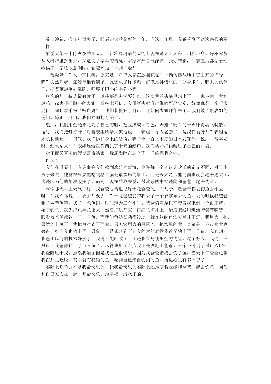 不一样的寒假作文_第2页