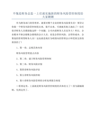 不愧是财务总监一上任就实施新的财务风险管控制度给大家瞅瞅