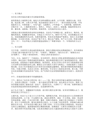 专业实习报告集锦七篇