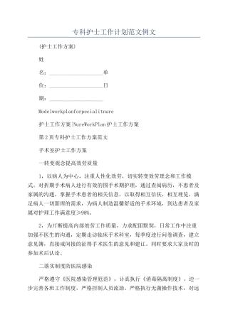 专科护士工作计划范文例文