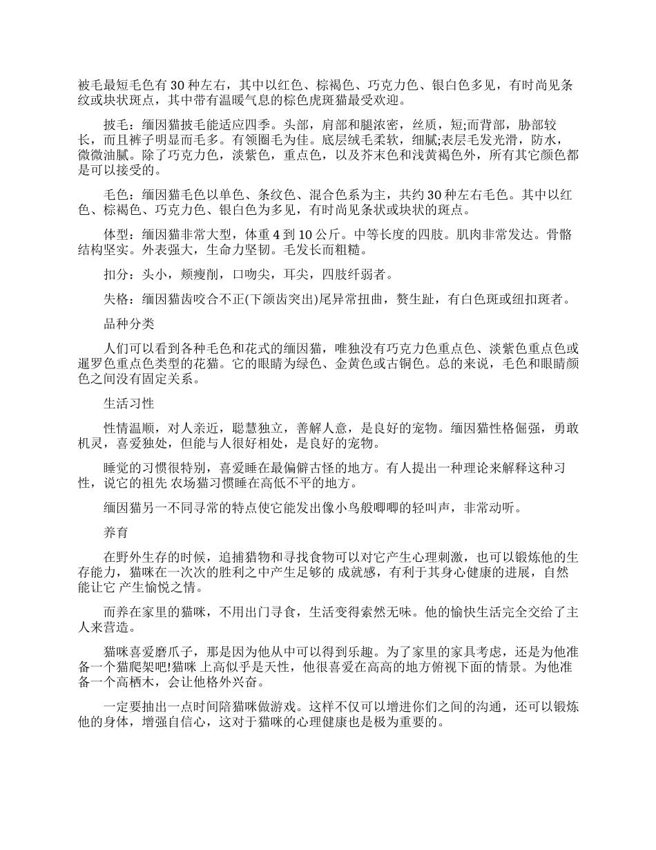 世界上体积最大的猫_第2页