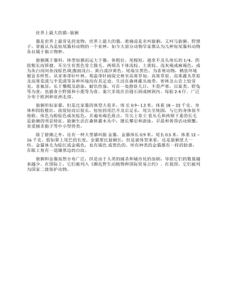 世界上体型最大的猫