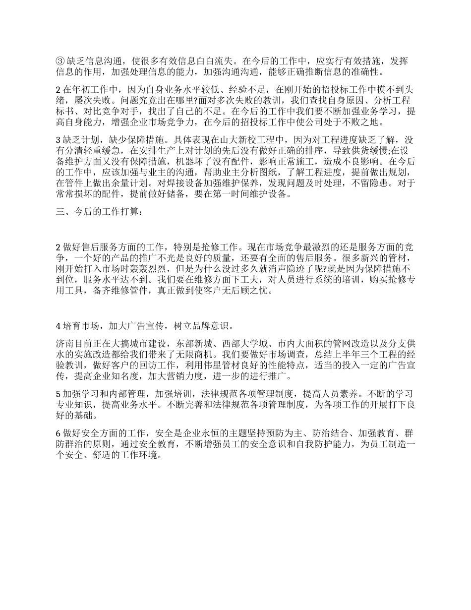 业务员半年总结模板_第2页