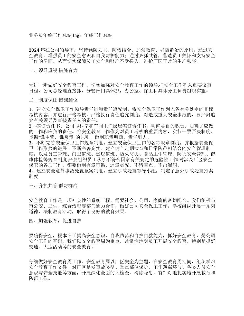 业务员年终工作总结范文_第1页