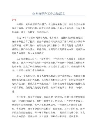 业务员晋升工作总结范文