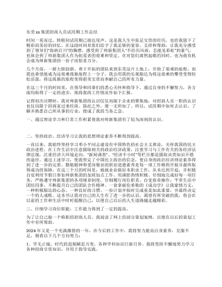 东莞xx集团招商人员试用期工作总结