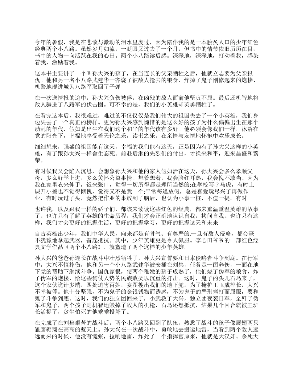 两个小八路读后感作文5篇_第1页